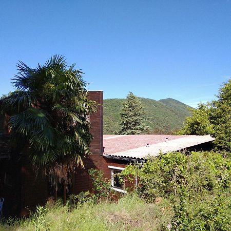 ヴァルローギュ Pura Vida Bed & Breakfast エクステリア 写真